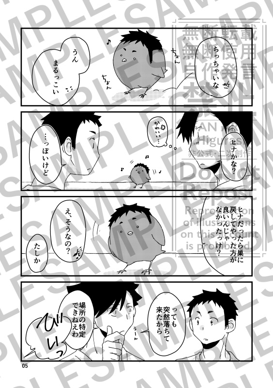 烏と生活。猫との攻防。