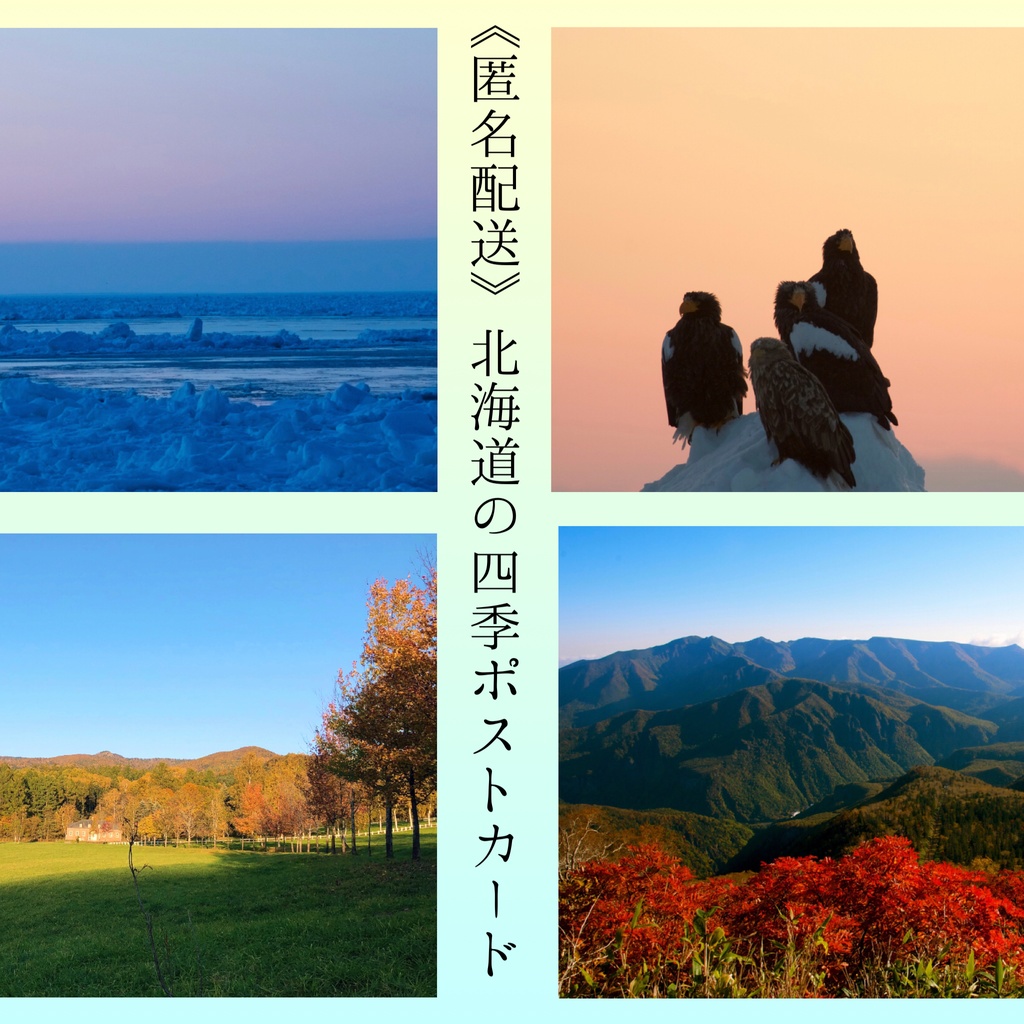 【匿名配送】北海道の四季ポストカード
