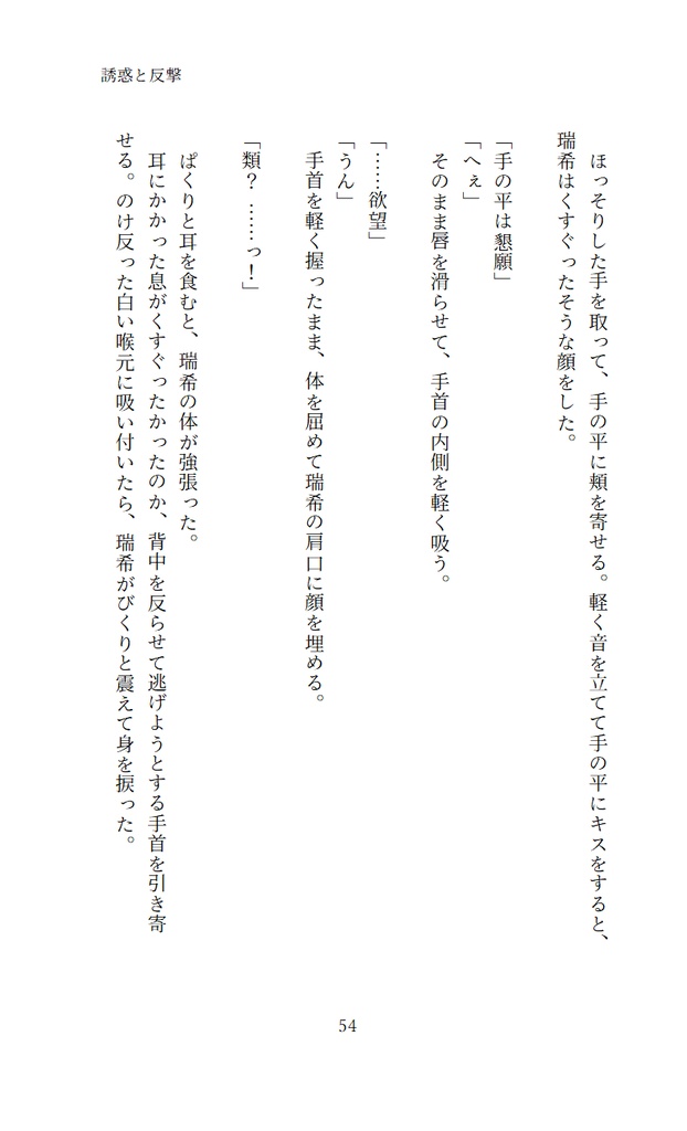 【類瑞 新装改訂版】寄り添って 向き合って【PDFダウンロード版】