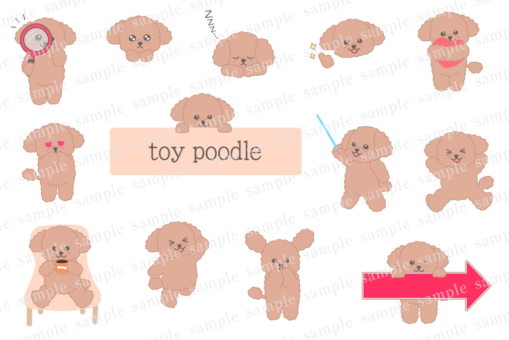【PNGは文字なし】かわいいトイプードルの色々ポーズセット