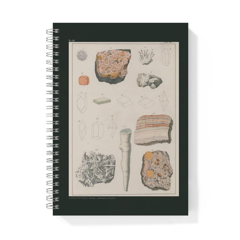 鉱物コレクターズノート