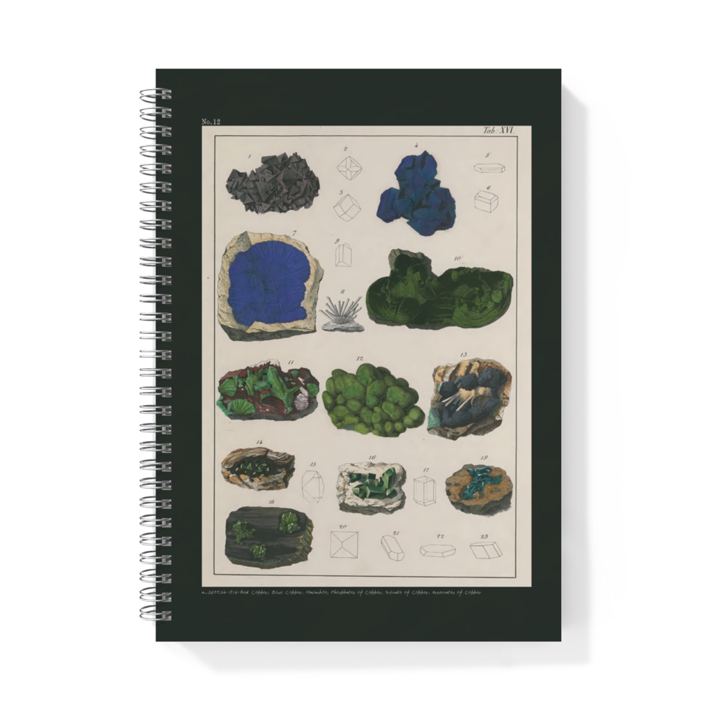 鉱物コレクターズノート