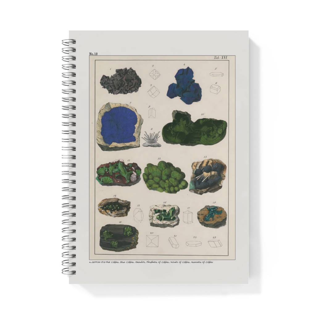 鉱物コレクターズノート