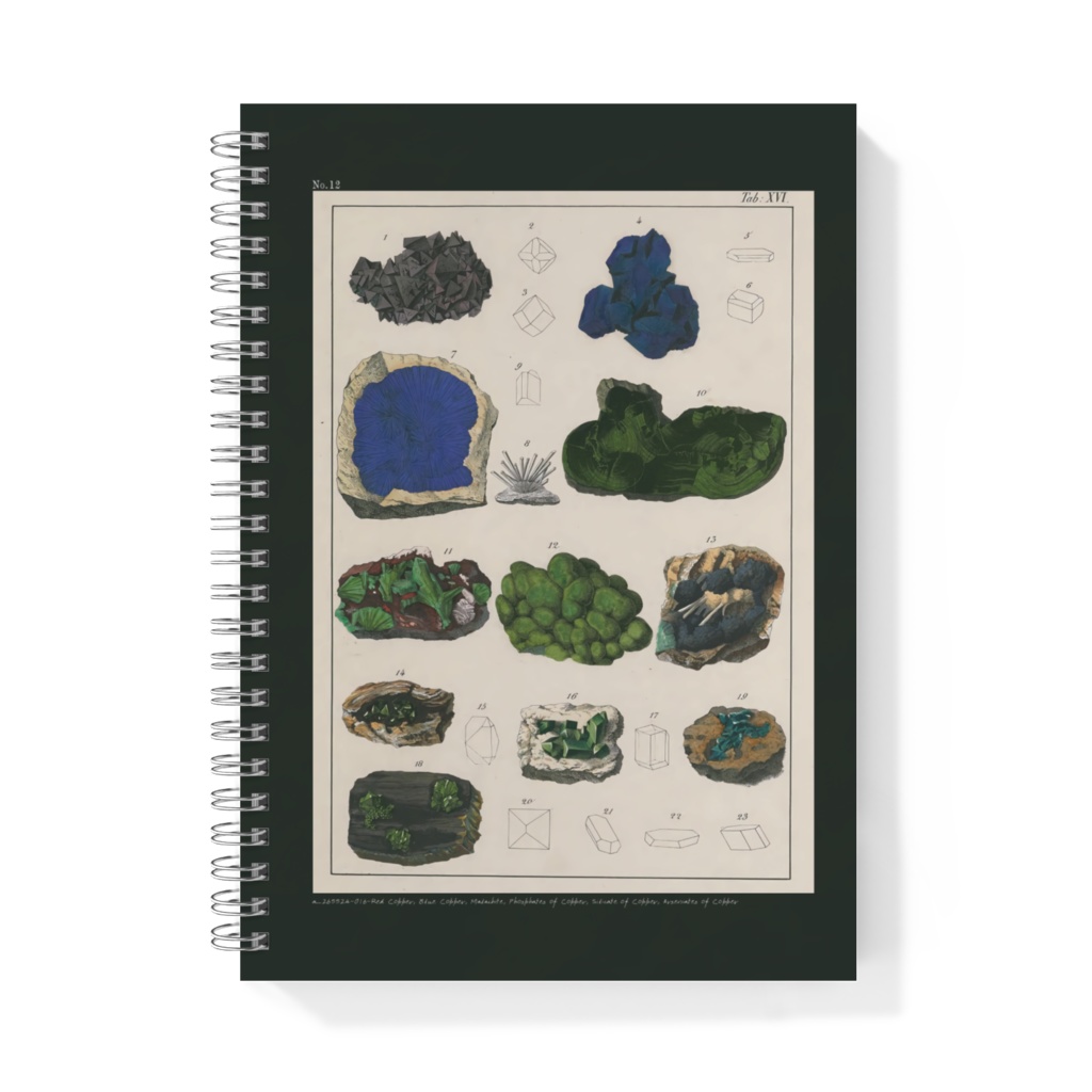 鉱物コレクターズノート