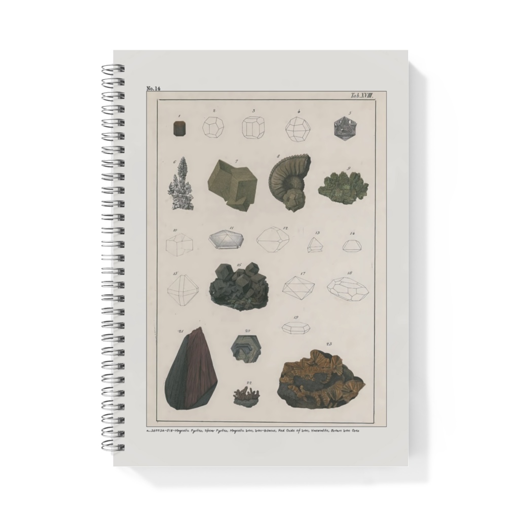 鉱石コレクターズノート