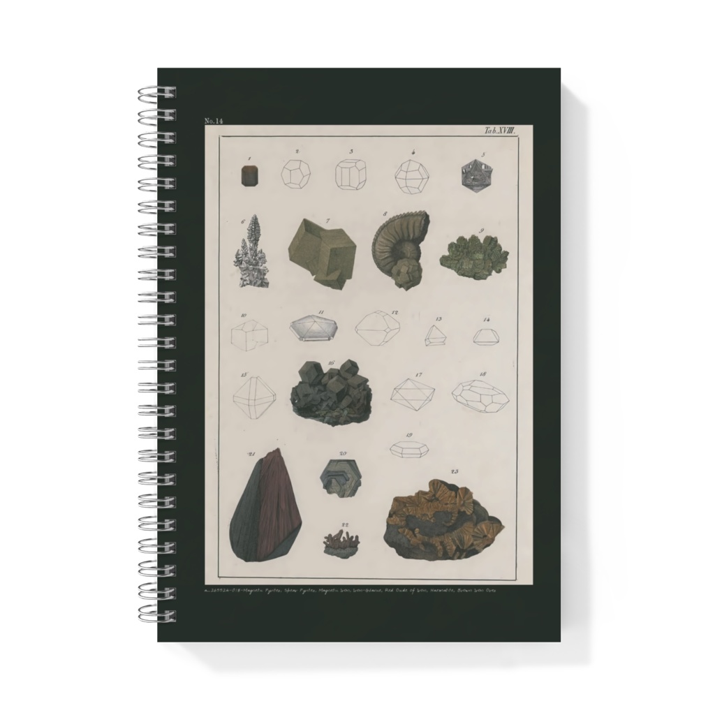 鉱石コレクターズノート