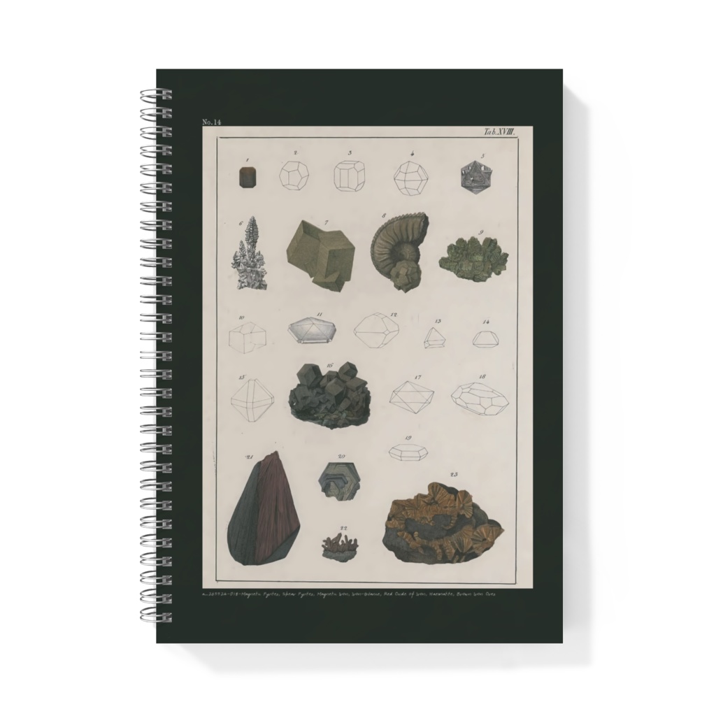 鉱石コレクターズノート