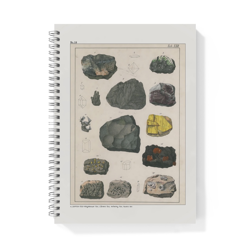 鉱物コレクターズノート