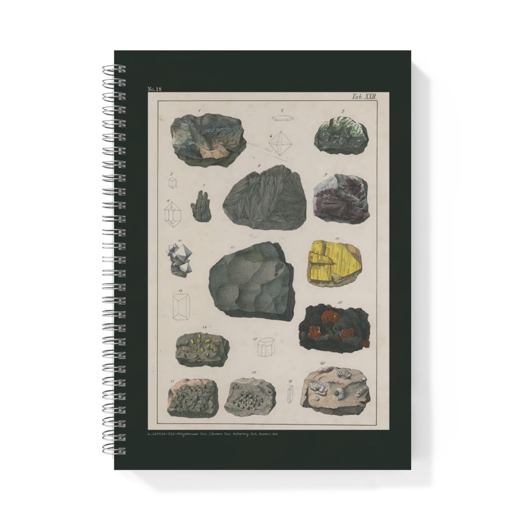 鉱物コレクターズノート