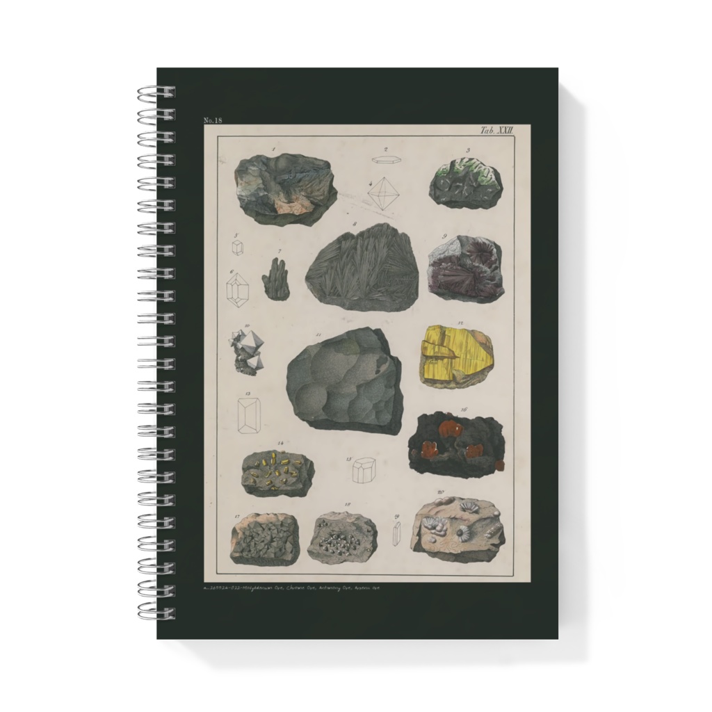 鉱物コレクターズノート