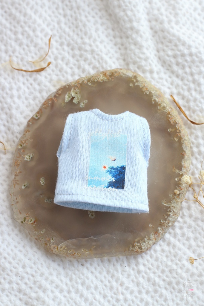 【ベスト/オビツ11,ピコドー10】