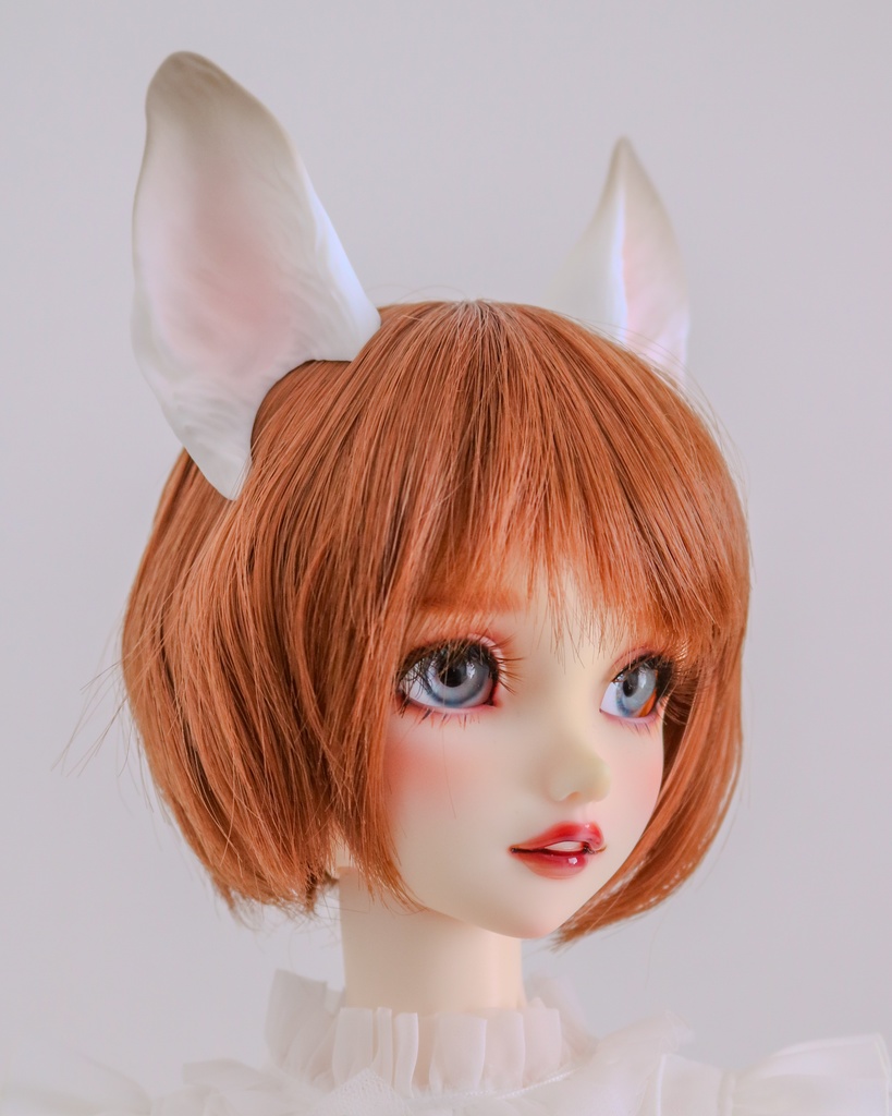 シェパード耳 成犬ver.