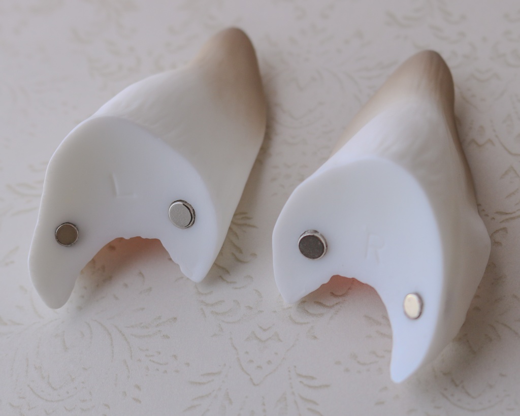 シェパード耳 成犬ver.