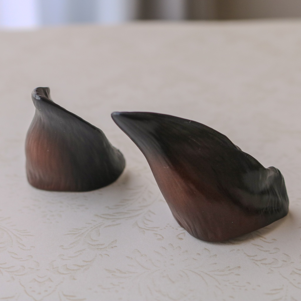 シェパード耳 成犬ver.