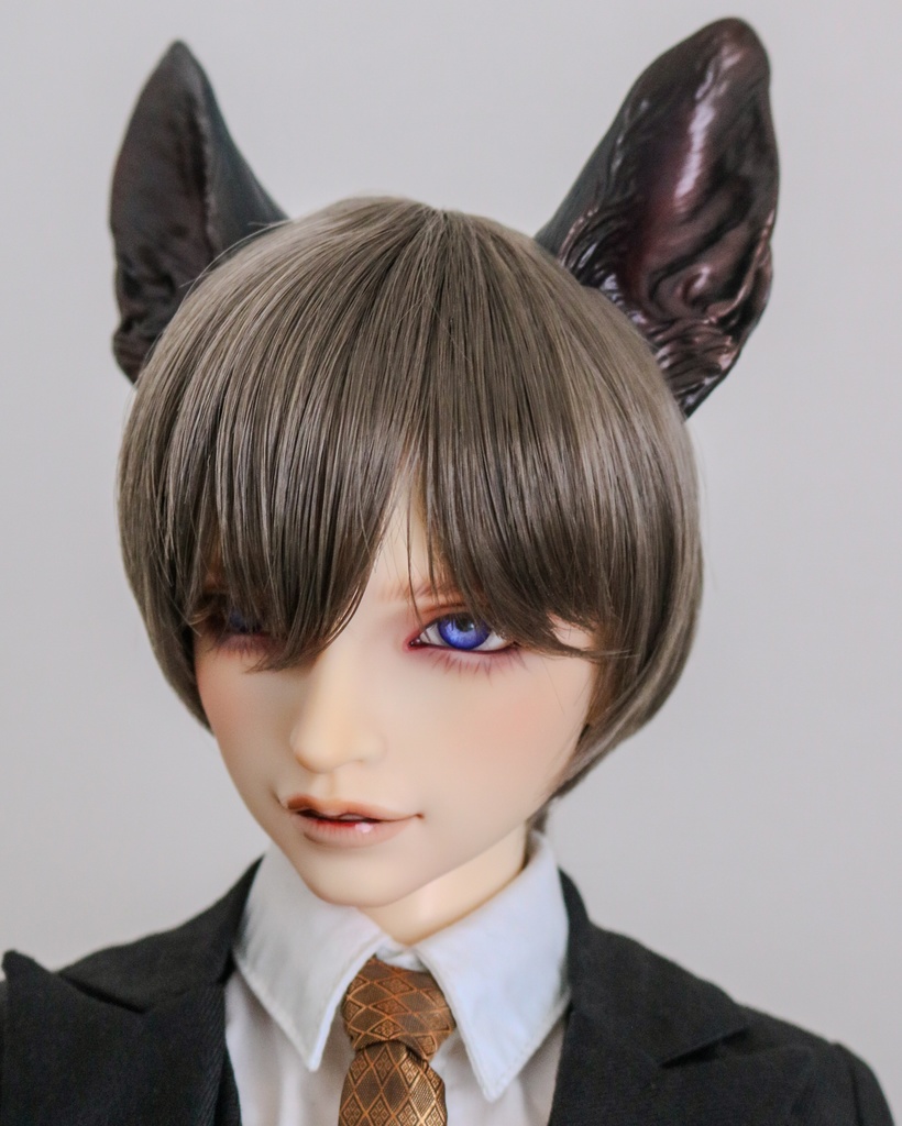 シェパード耳 成犬ver.