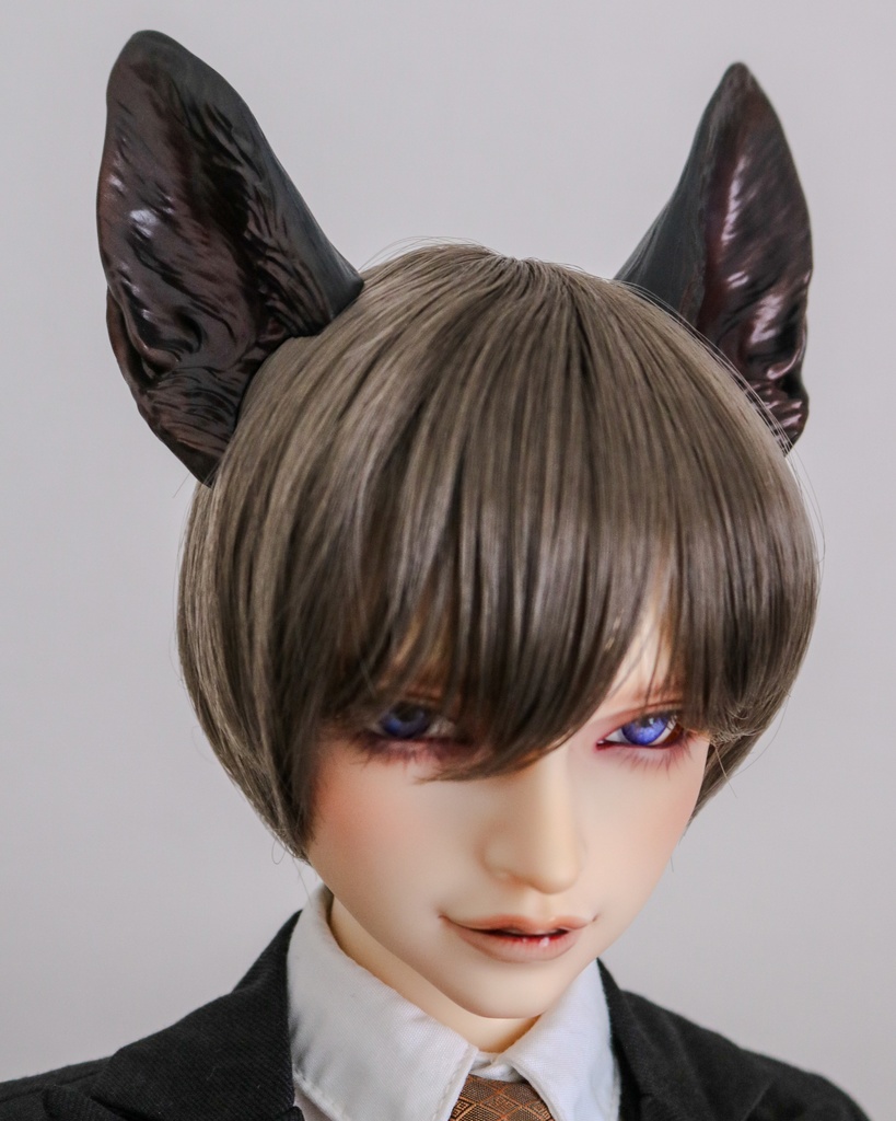 シェパード耳 成犬ver.