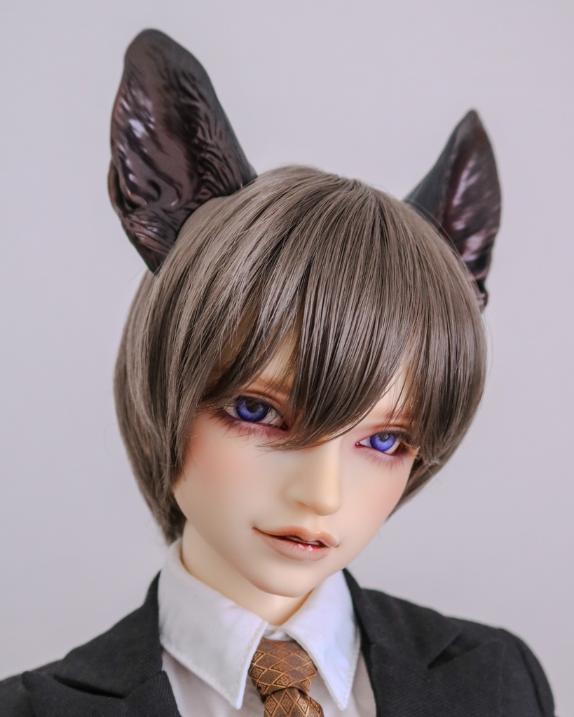 シェパード耳 成犬ver.