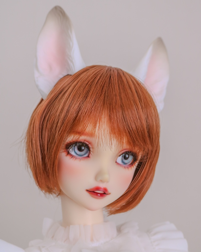 シェパード耳 成犬ver.