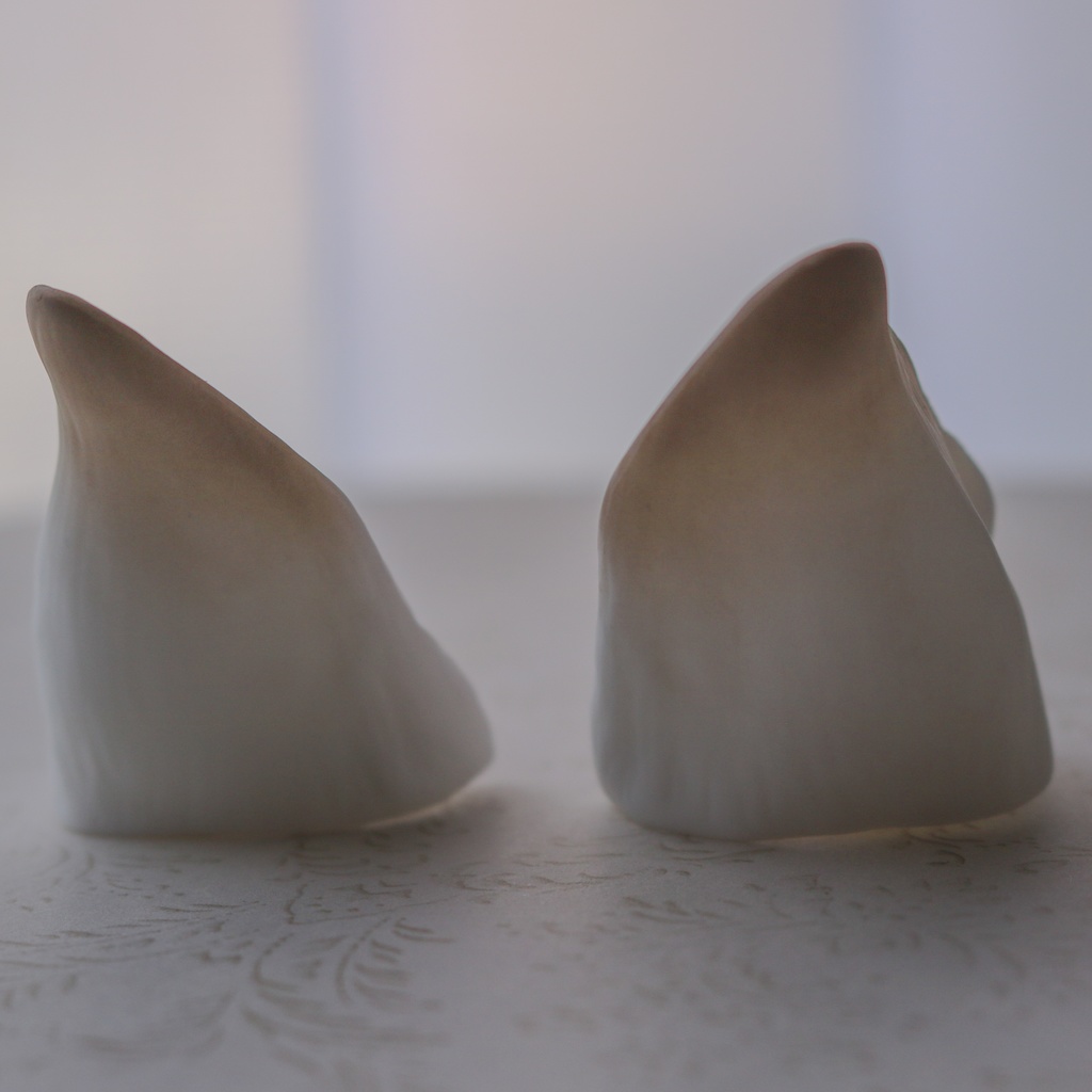 シェパード耳 成犬ver.