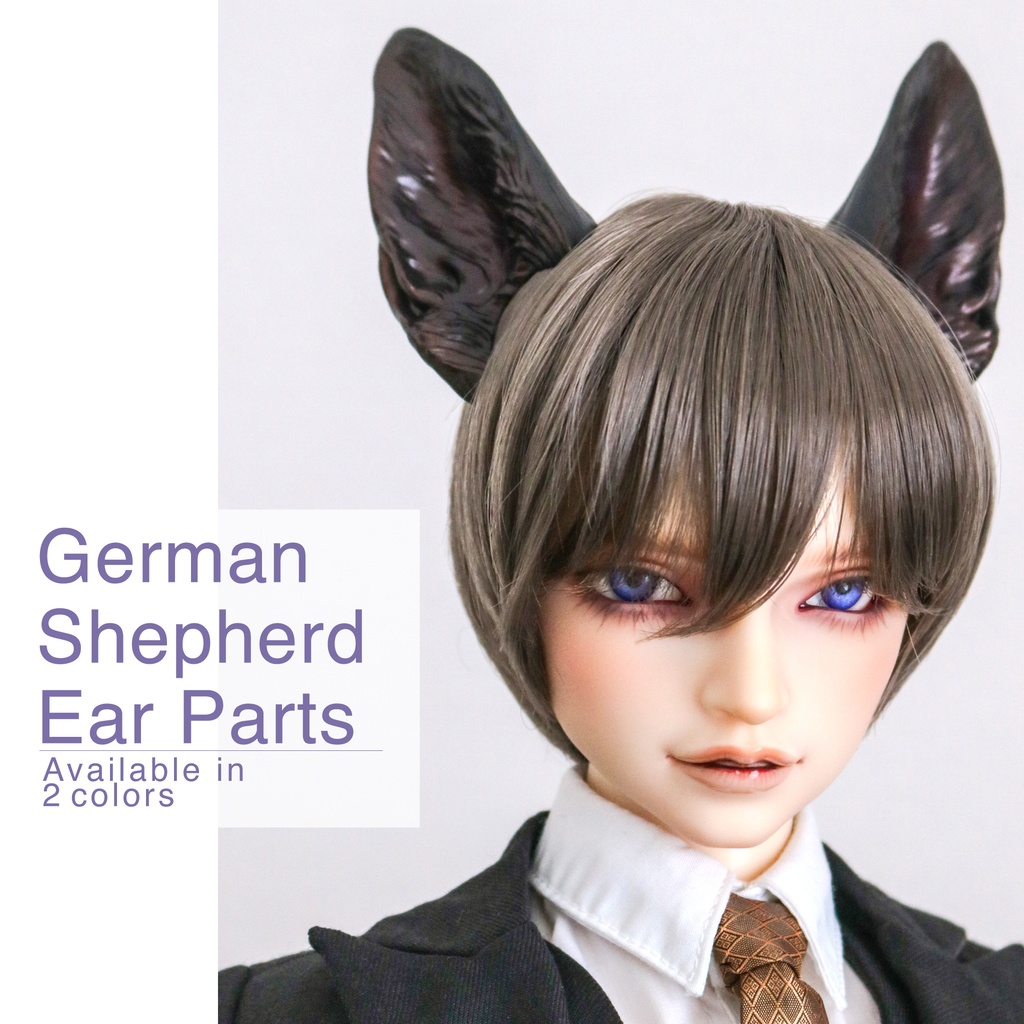 シェパード耳　成犬ver.