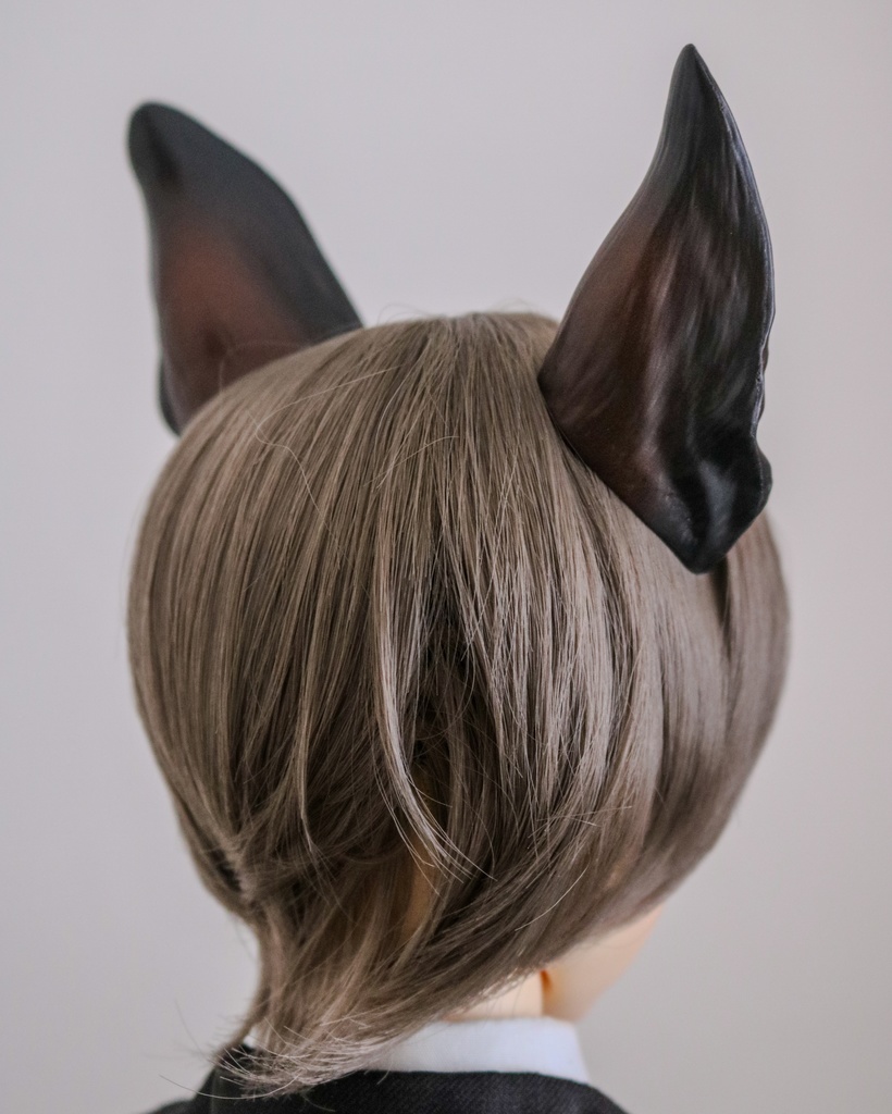 シェパード耳 成犬ver.