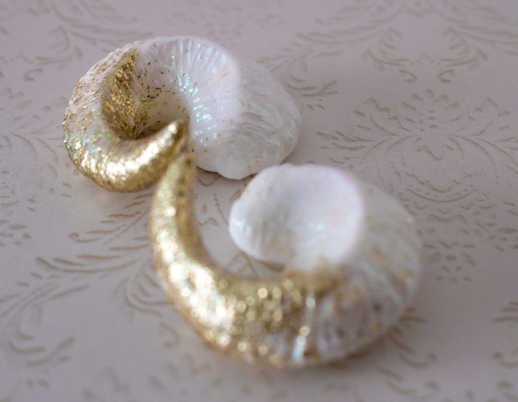 羊のツノmini 2color