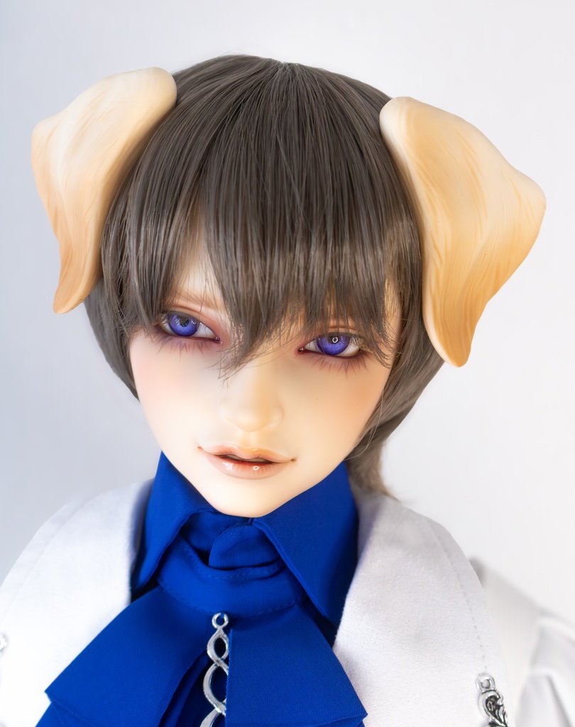 ラブラドール耳 成犬&子犬 2color