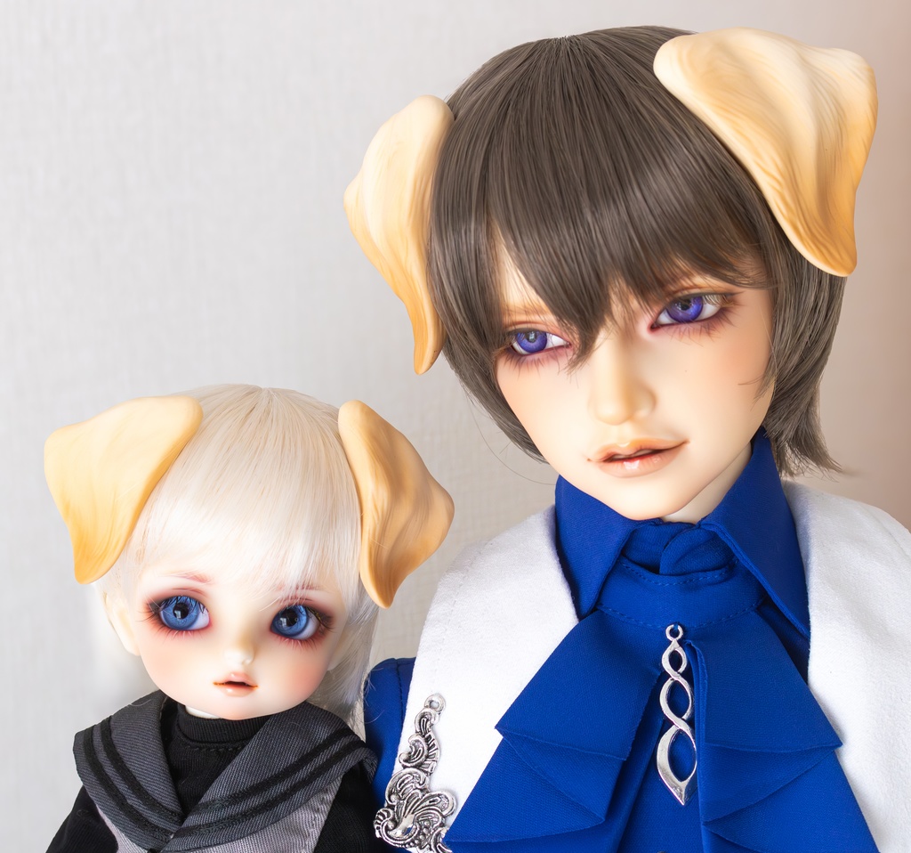 ラブラドール耳 成犬&子犬 2color