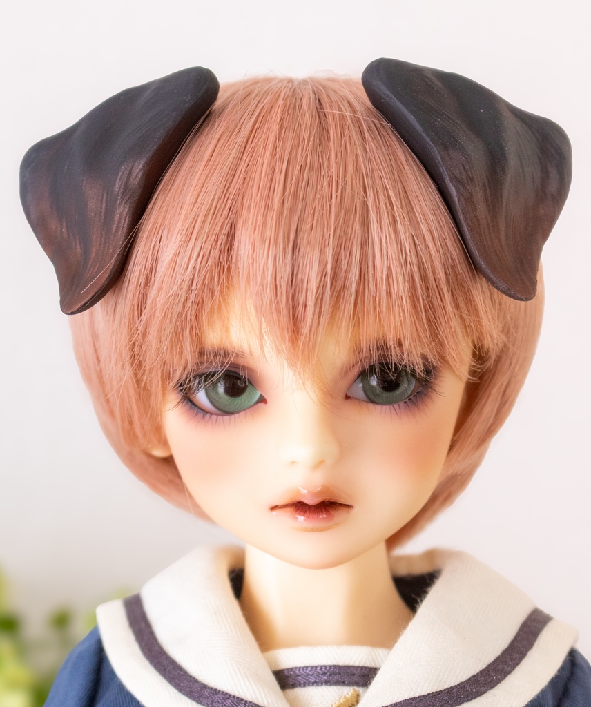 ラブラドール耳 成犬&子犬 2color