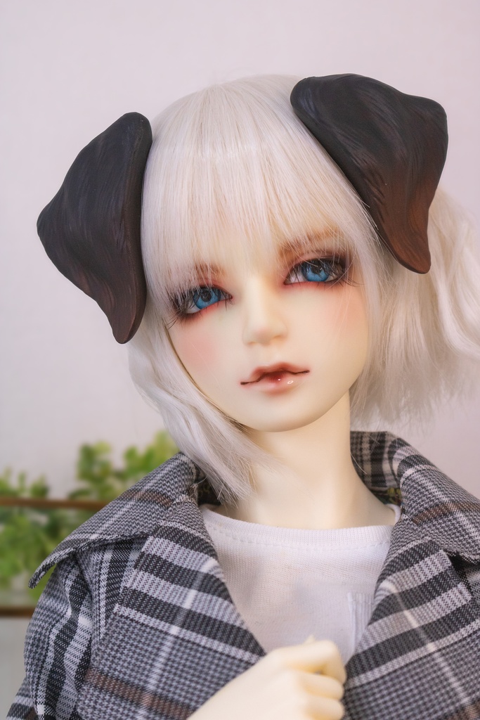 ラブラドール耳 成犬&子犬 2color