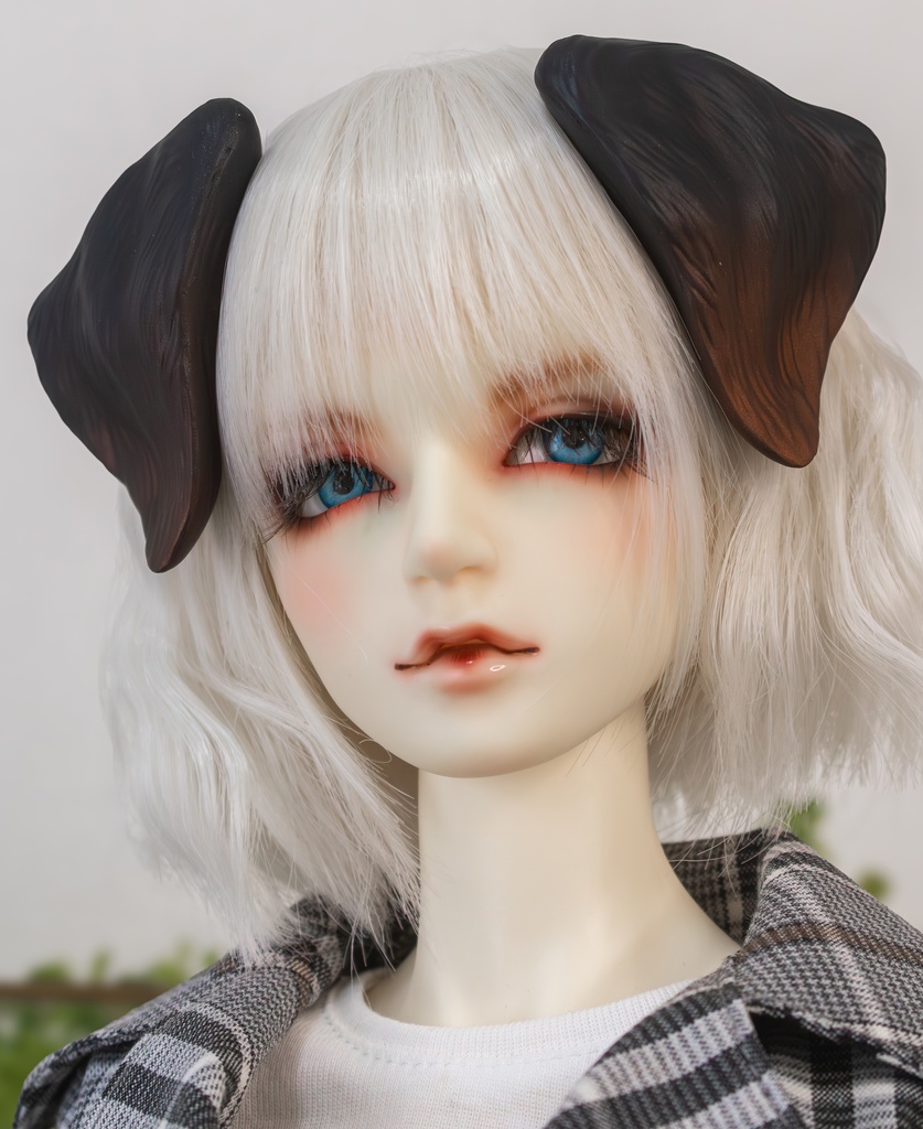 ラブラドール耳 成犬&子犬 2color