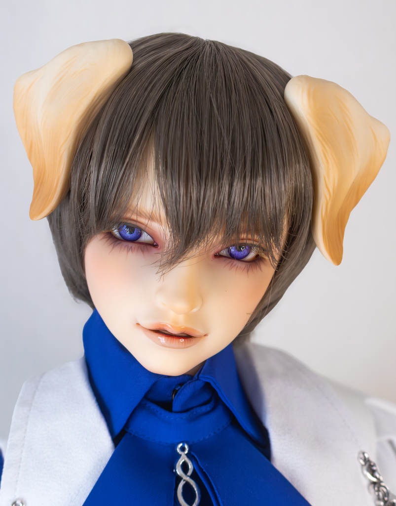 ラブラドール耳 成犬&子犬 2color