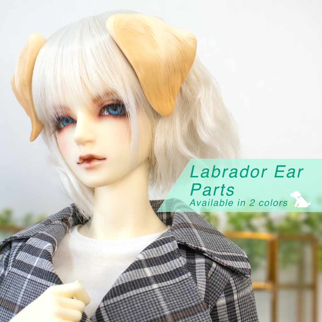ラブラドール耳 成犬&子犬 2color