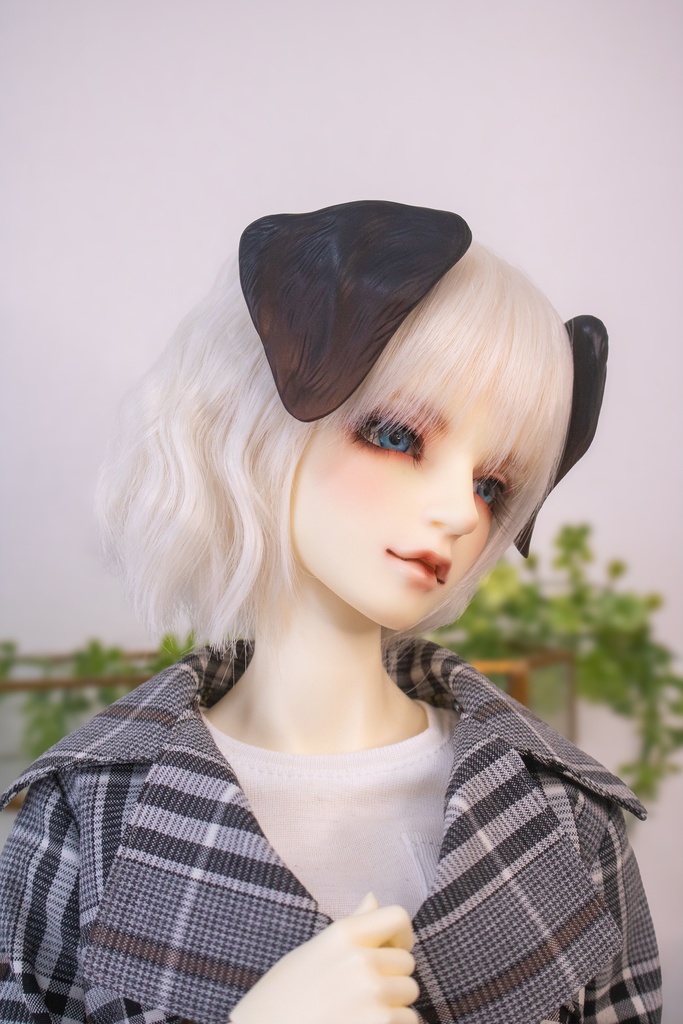 ラブラドール耳 成犬&子犬 2color