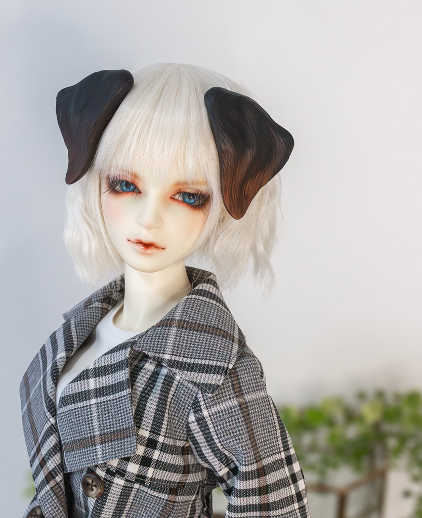 ラブラドール耳 成犬&子犬 2color