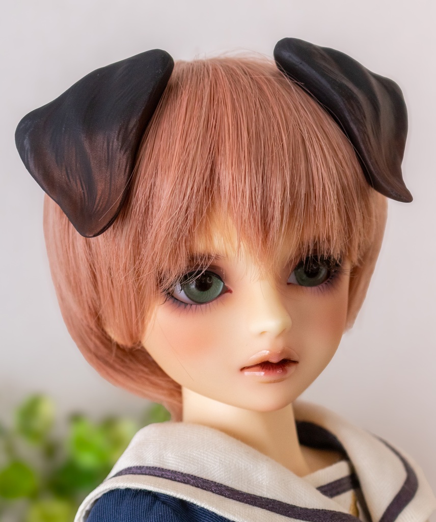 ラブラドール耳 成犬&子犬 2color