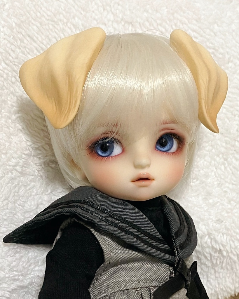 ラブラドール耳 成犬&子犬 2color