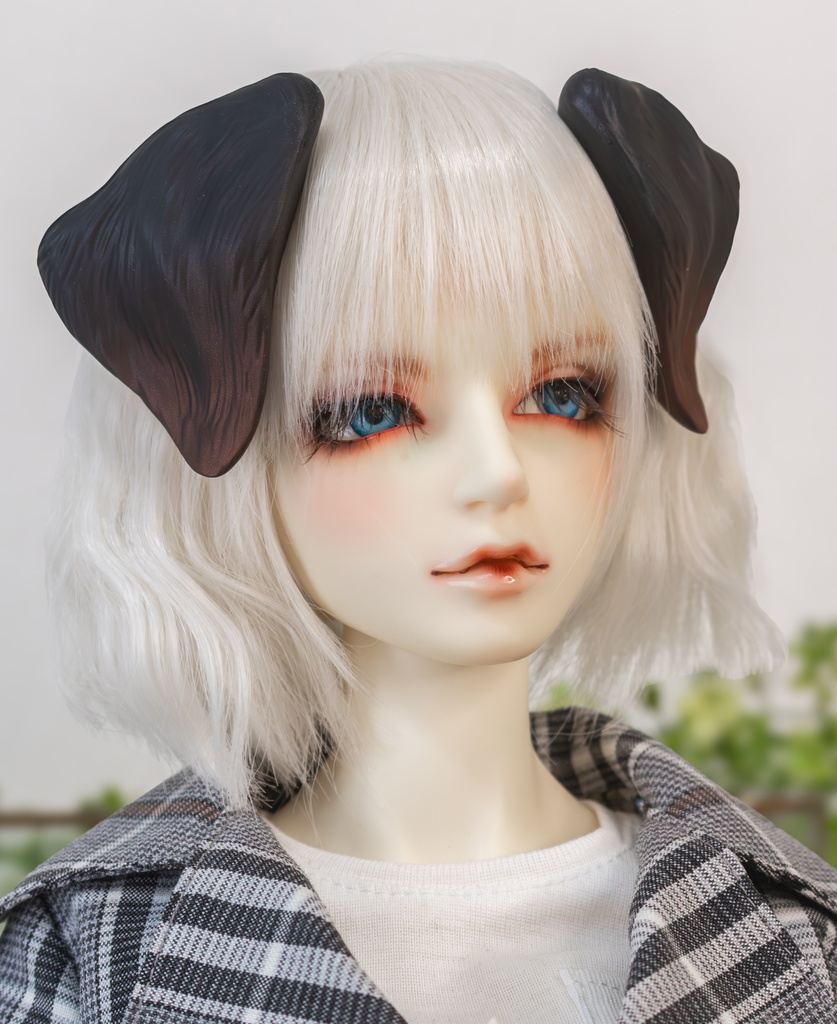 ラブラドール耳 成犬&子犬 2color