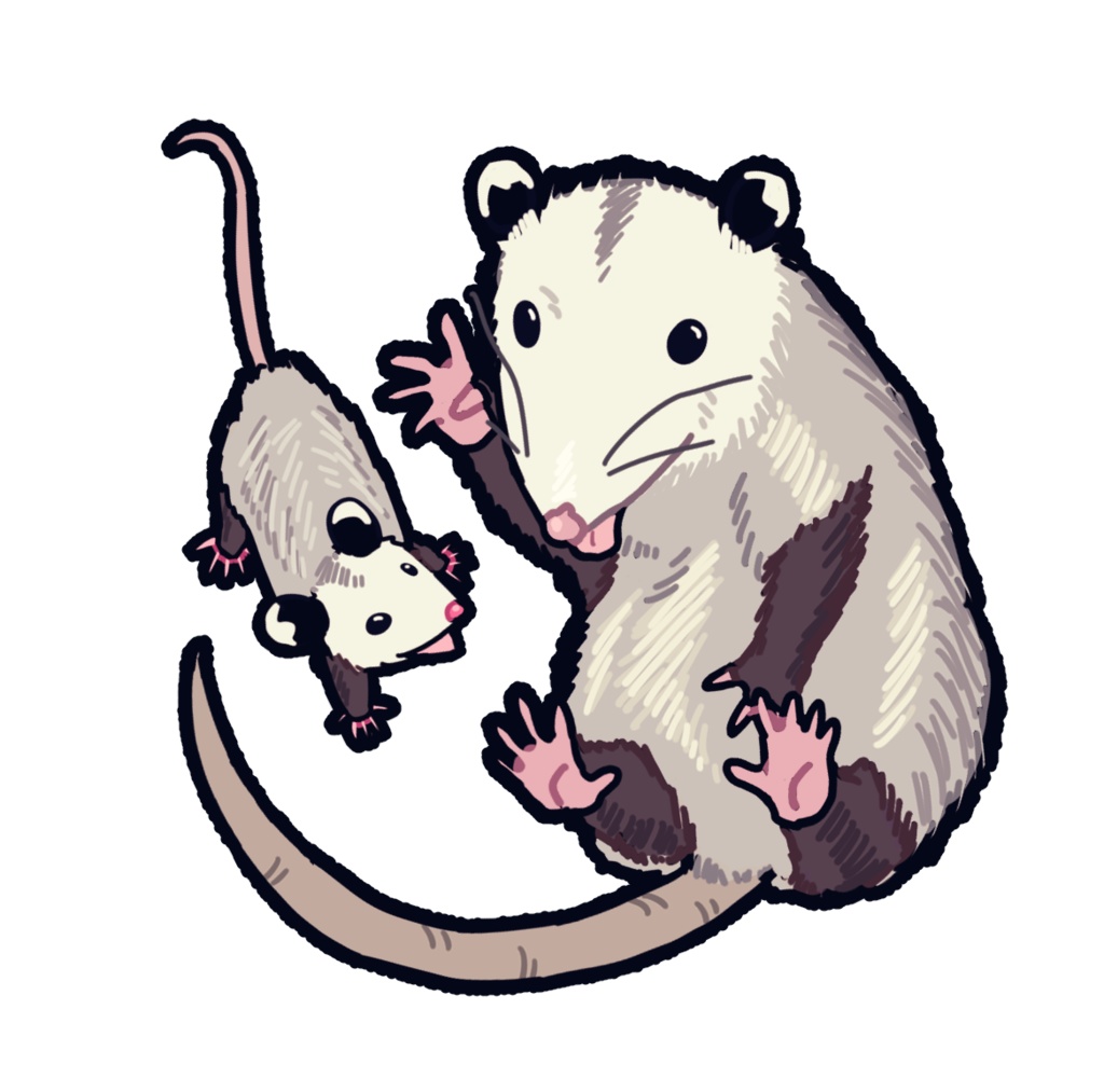 オポッサムアクリルキーホルダー