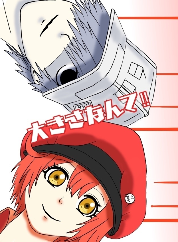 大きさなんて！！