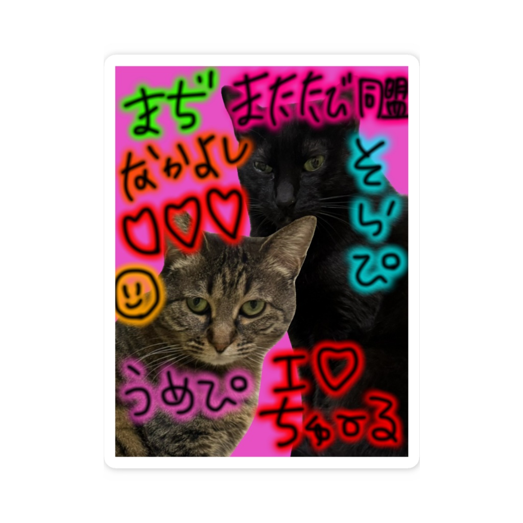 平成プリクラ風(猫ver)