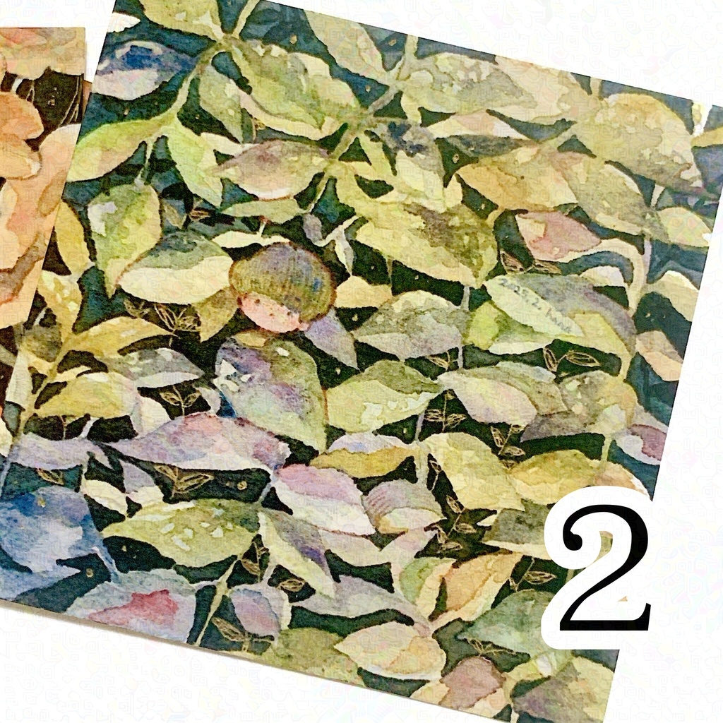 2025/2 芸術の植物学展 イラストカード