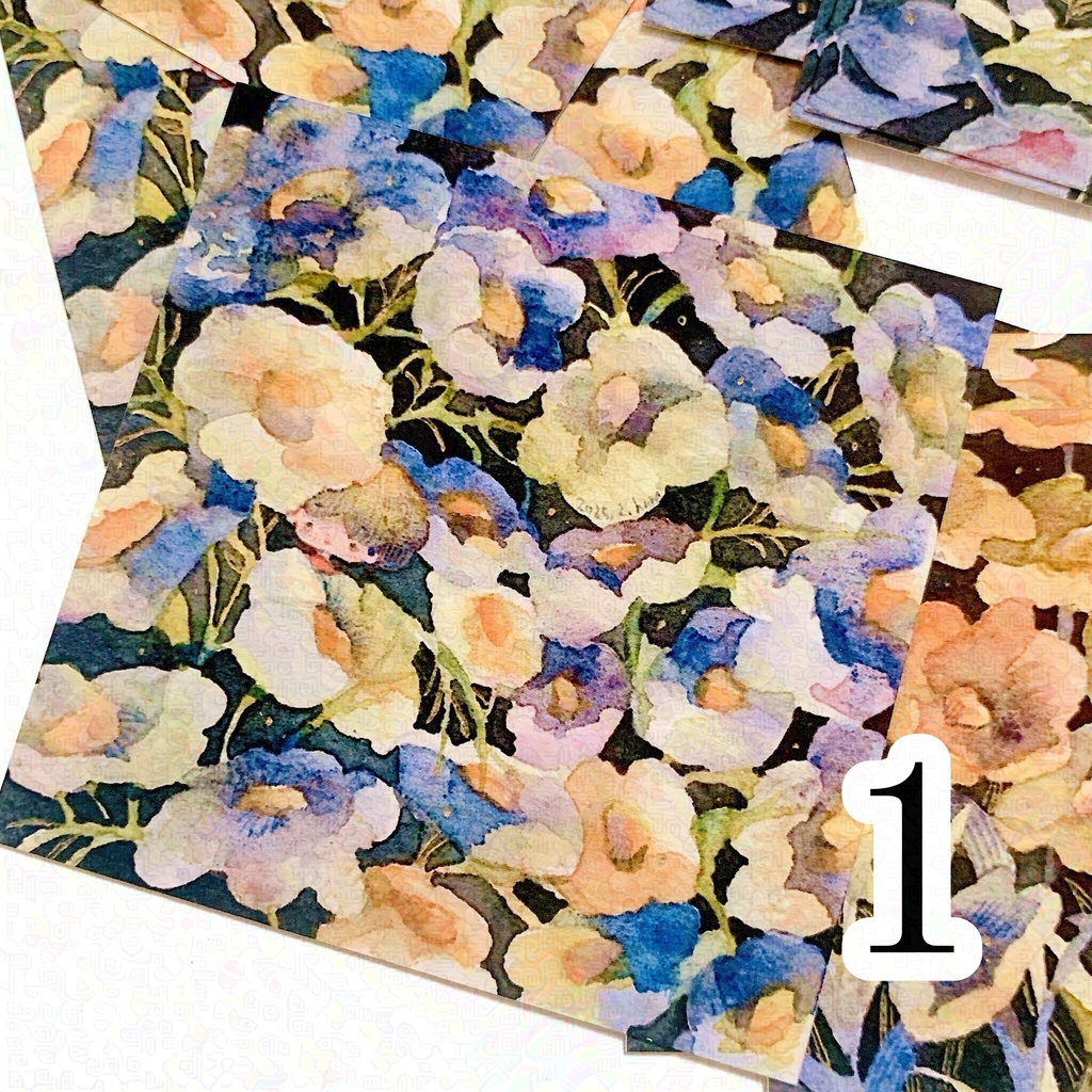 2025/2 芸術の植物学展 イラストカード