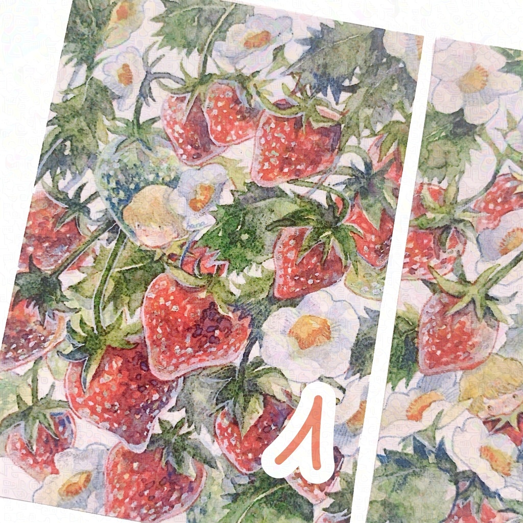 2025 Spring strawberry イラストカード