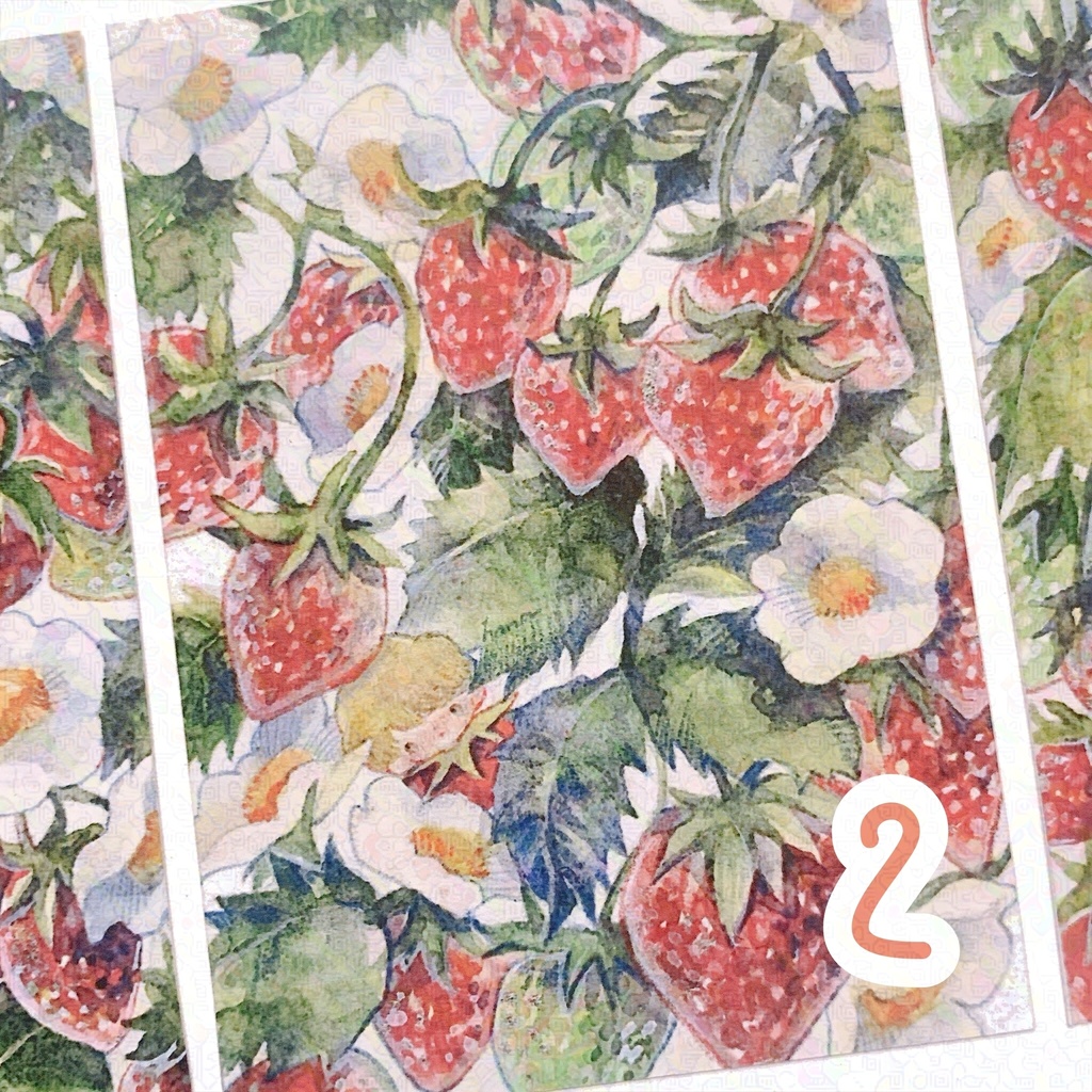 2025 Spring strawberry イラストカード