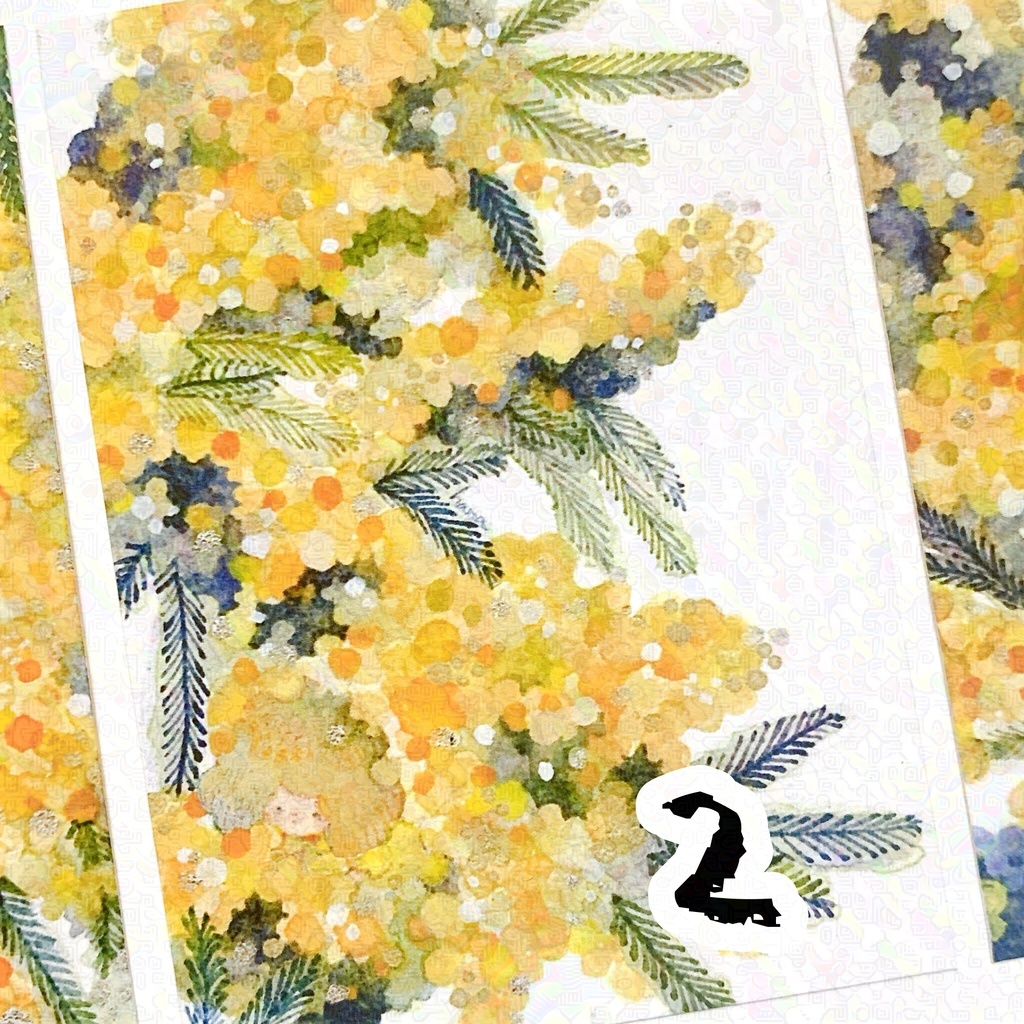 2025 Spring mimosa イラストカード