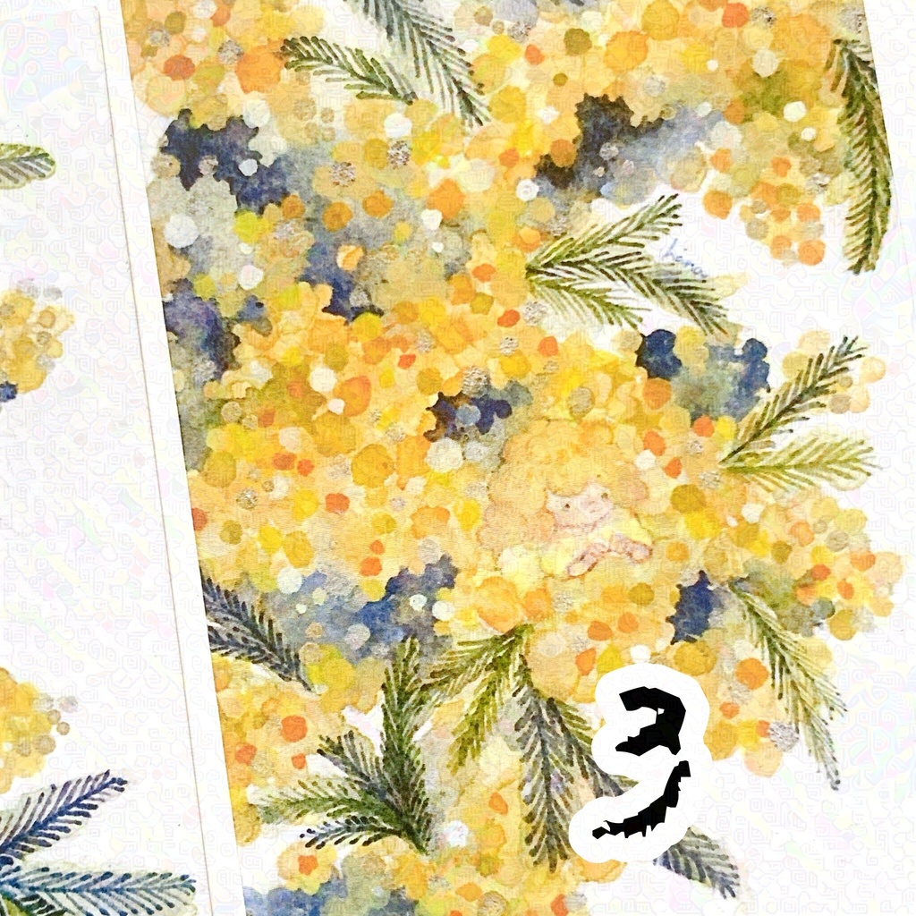 2025 Spring mimosa イラストカード