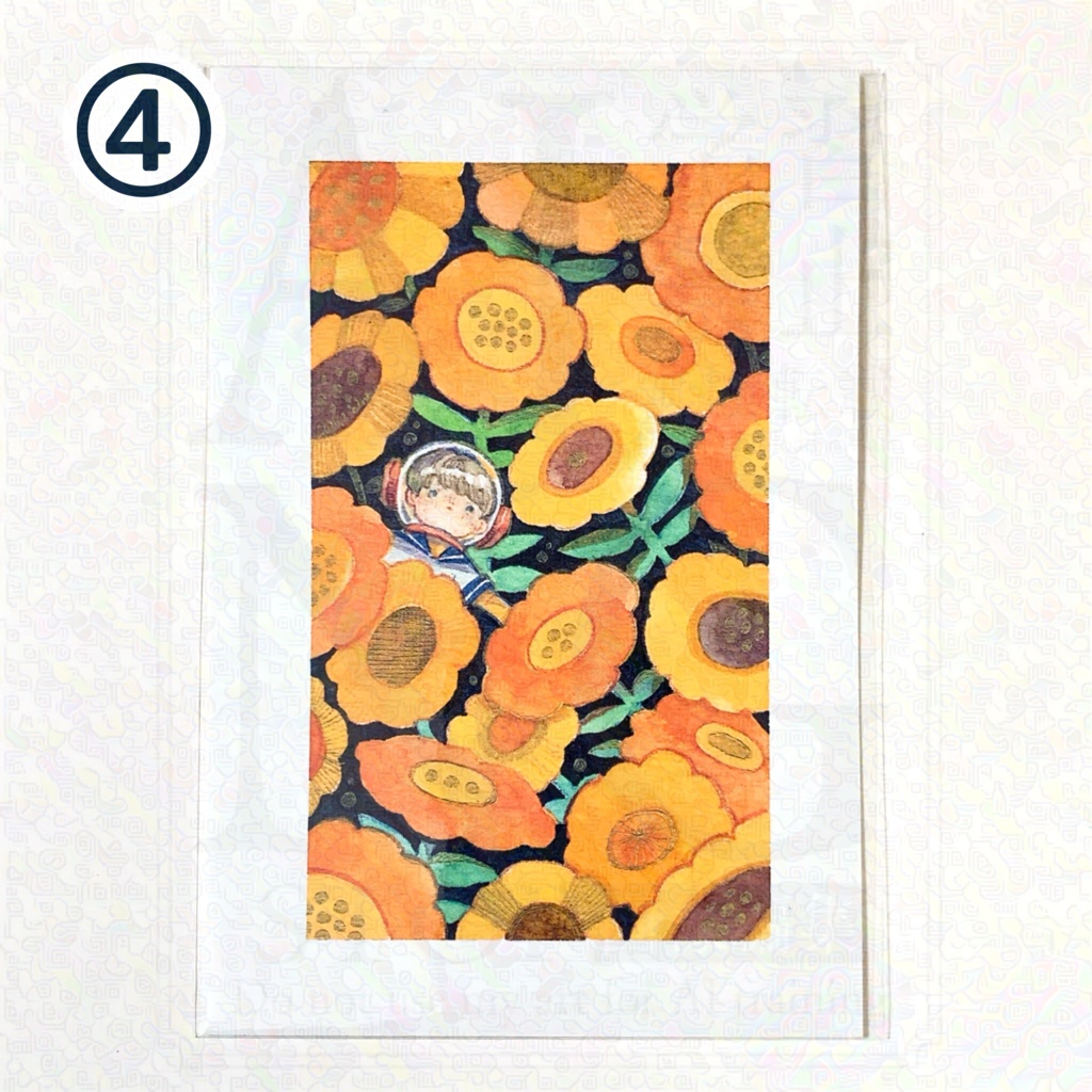 惑星植物標本ポストカード