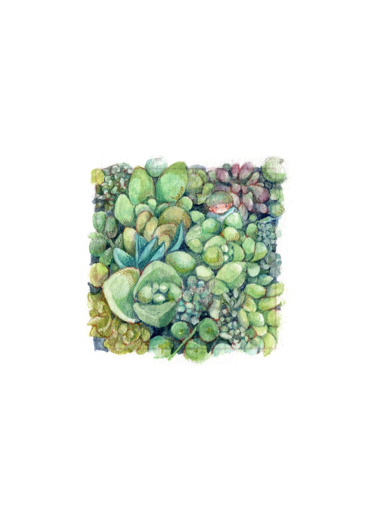 イラスト集『ハナ色図録』