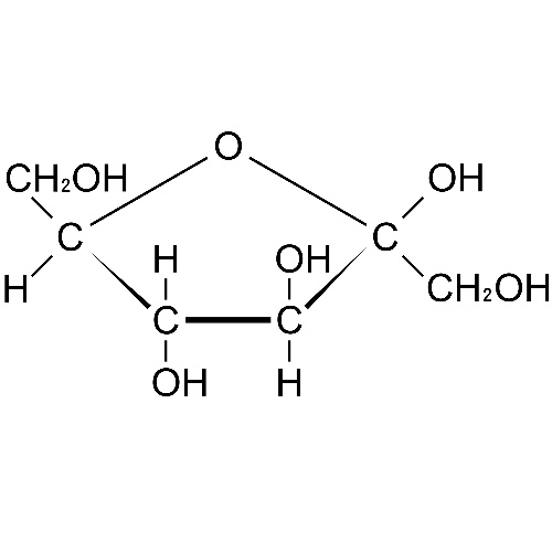 フルクトース(環状構造、五員環)　構造式